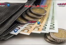 نموذج مفردات مرتب
